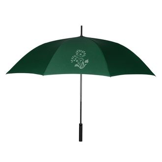 Carbon Light Regenschirm mit grünem Stoff, Griff und Stock aus hochwertigem Carbon