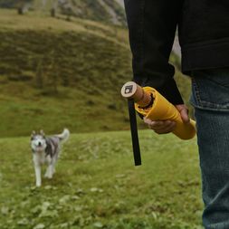 Knirps Timber Regenschirm in Curcuma Gelb wird von einem Mann gehalten, im Hintergrund ist ein Husky Hund zu sehen