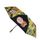 Appenzeller_Bärli-Biber_Regenschirm_Schirmmitlogo_umweltfreundlicherRegenschirm